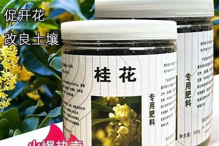 桂花专用肥可以给梅花施肥吗