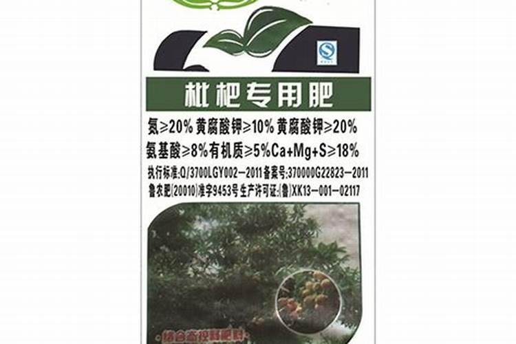 要让枇杷树长得好施什么肥料合适