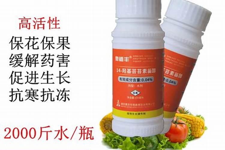 辣椒叶子卷曲要怎么治