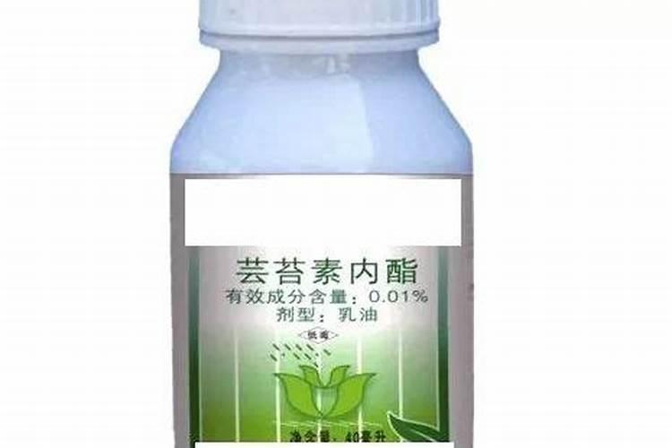 芸苔素内酯多久喷一次,效果有哪些,什么时候不能喷
