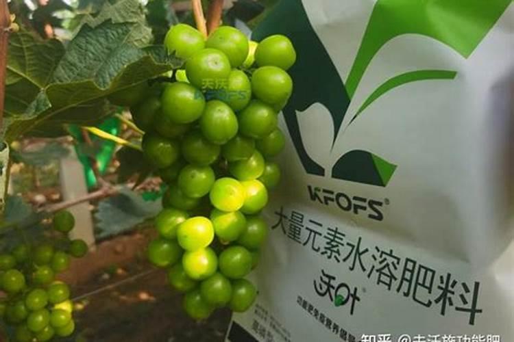 马蹄什么时候施膨果肥 马蹄膨大期用什么肥好