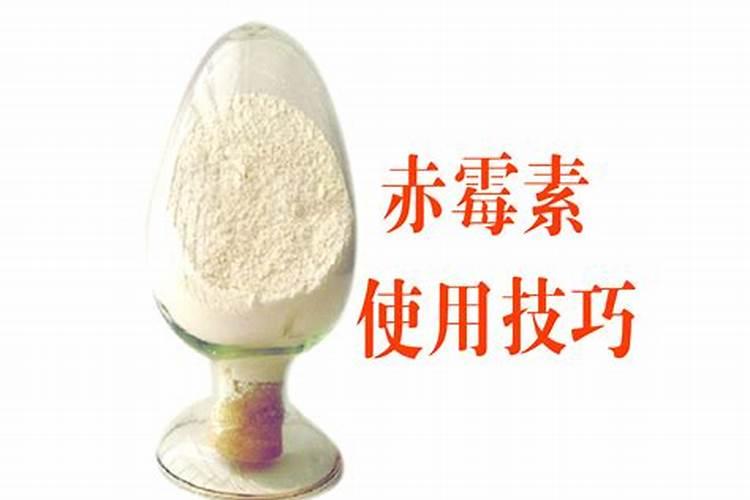 如何管理和控制好水族箱的水质