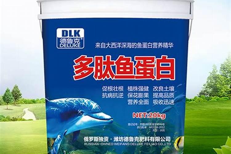 12月份山东潍坊有哪些海产品？