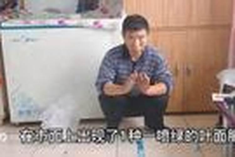 新移栽的苗木,生根剂多久用一次