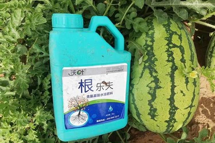 树苗施什么肥料什么时间施肥最好