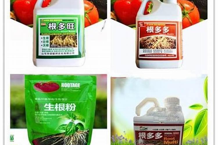 西瓜幼苗用什么生根肥好
