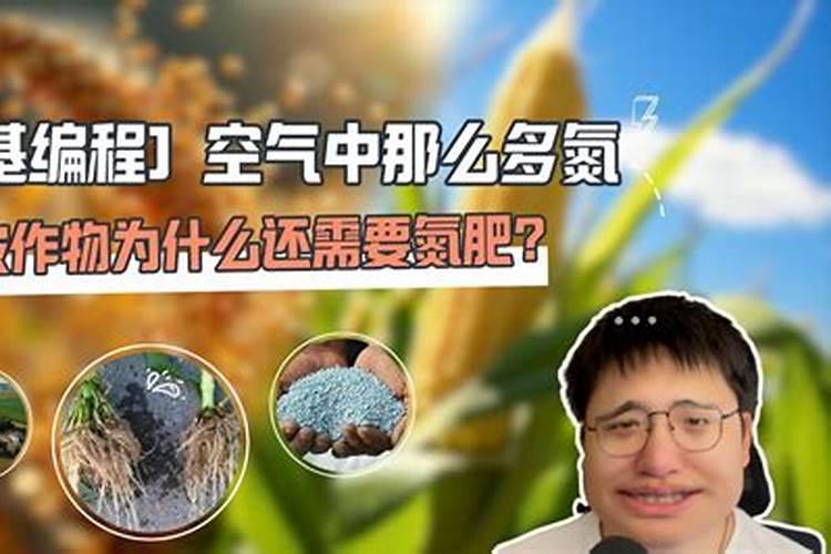 氮肥的作用