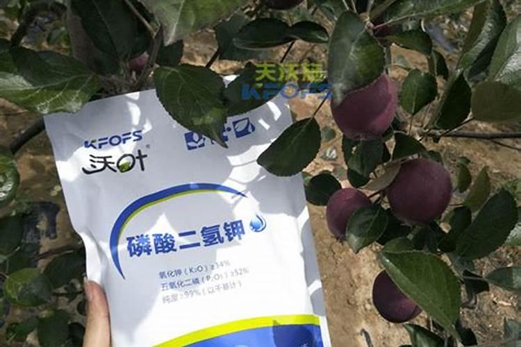 苹果树开花前施什么肥最好