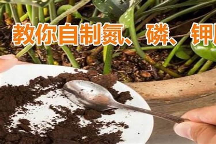 磷酸二氢钾可以给花卉灌根和喷叶吗？