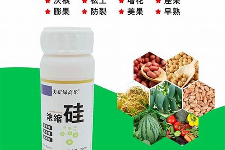 水稻硅肥正确使用方法