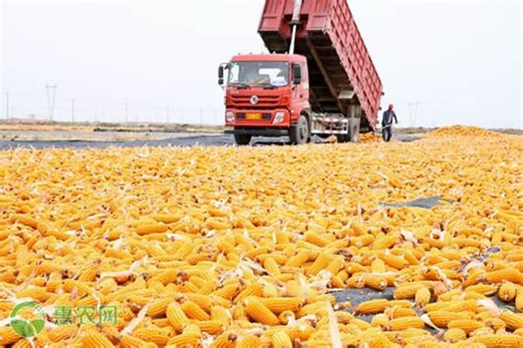 玉米使用氧化钾每亩地用多少为宜？
