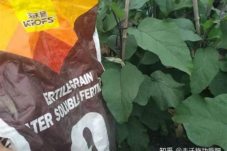 桃树硬核期施啥水溶肥最好、桃
