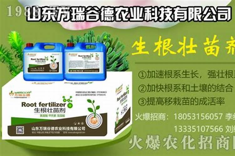 促进植物生根的肥料是哪些？促进植物长新叶子的肥料是哪些？