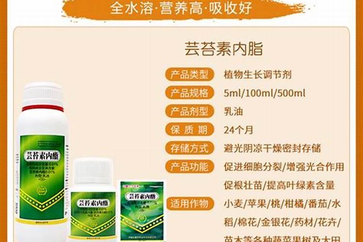 芸苔素使用十大禁忌 要避免
