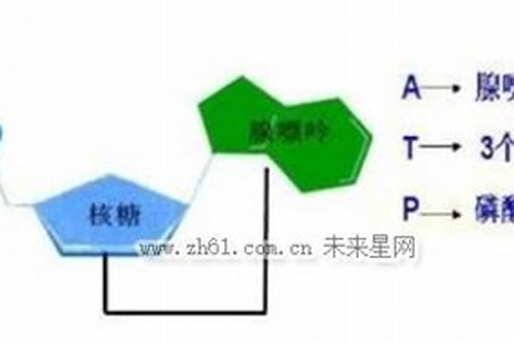 浓磷酸水溶肥的优缺点