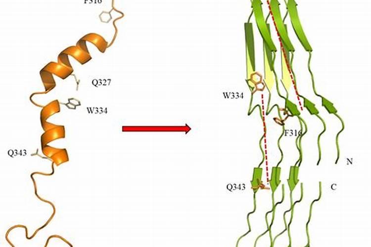 油麦菜叶肥用那种叶面肥