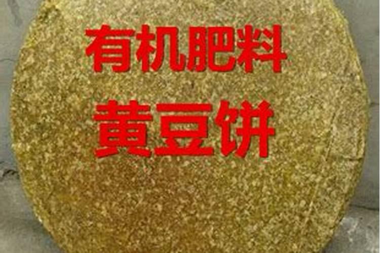 草莓肥料烧苗补救办法