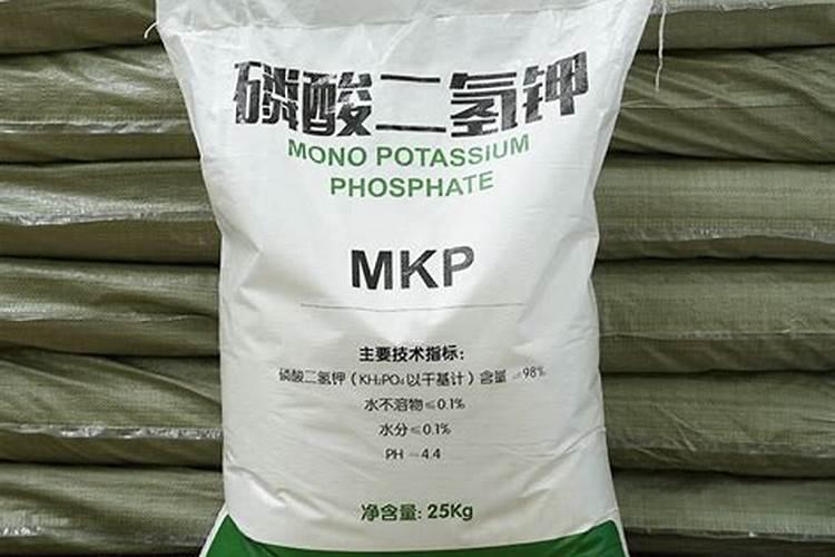 大姜种植后头两次浇水应怎么冲施肥料？