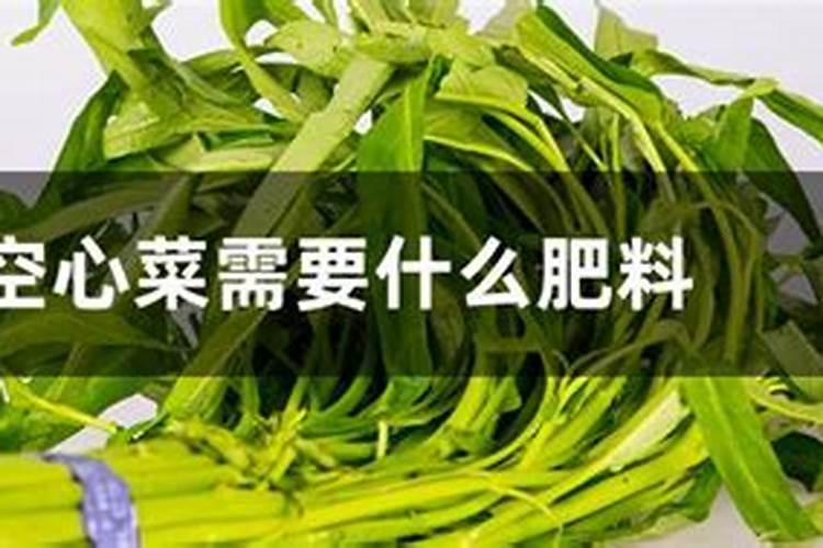 铁树肥料兰花可以用吗？
