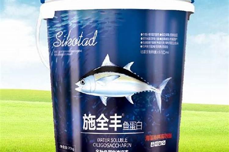 幸福树需要什么样的肥料最好