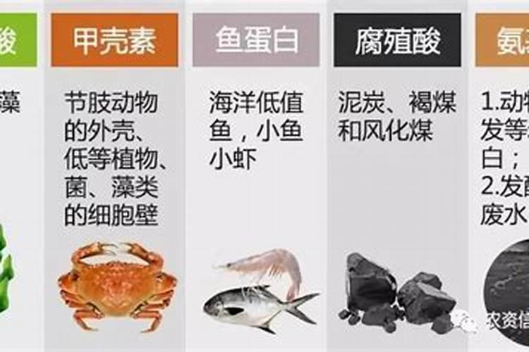 罗汉松枝叶都干枯了还能活吗