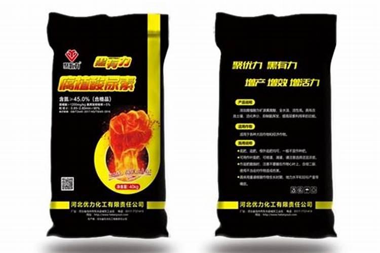 吃鱼有讲究 如何合理摄入鱼蛋白