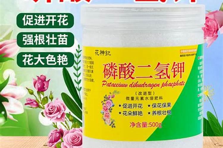 桉树追肥用什么肥料好