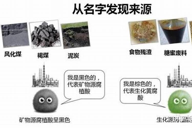 关于茶枝柑的种植管理方法