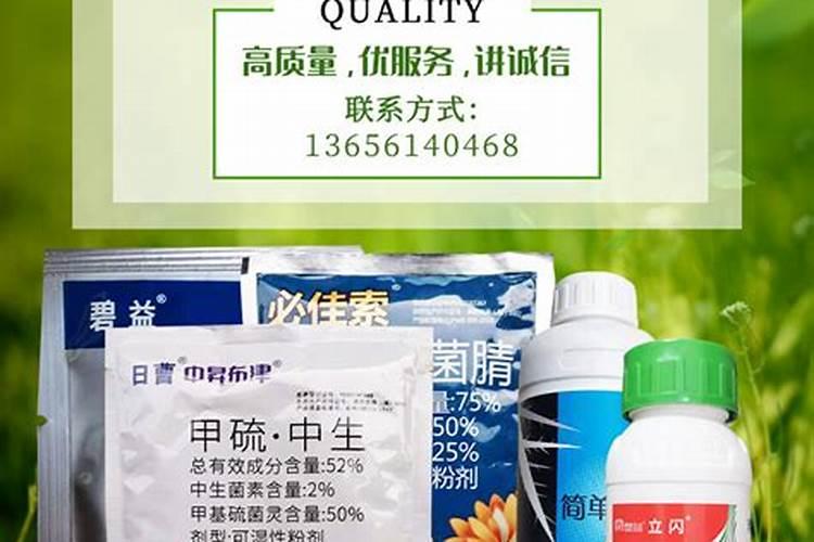 无公害草莓生产,怎么使用农药？