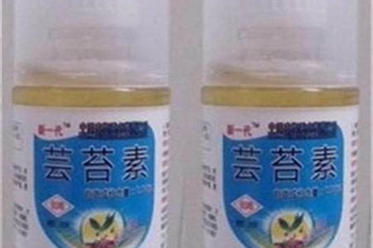兰花用复合肥的使用方法