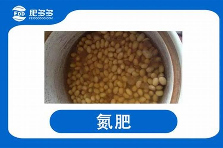 黄豆如何泡制氮肥