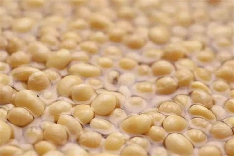 生黄豆做肥料最佳最简单方法