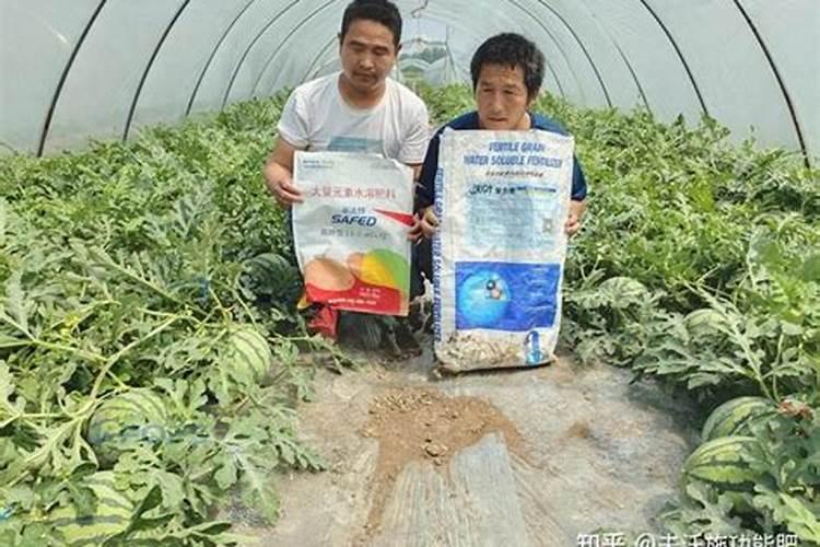 花生怎样种植才会获得高产