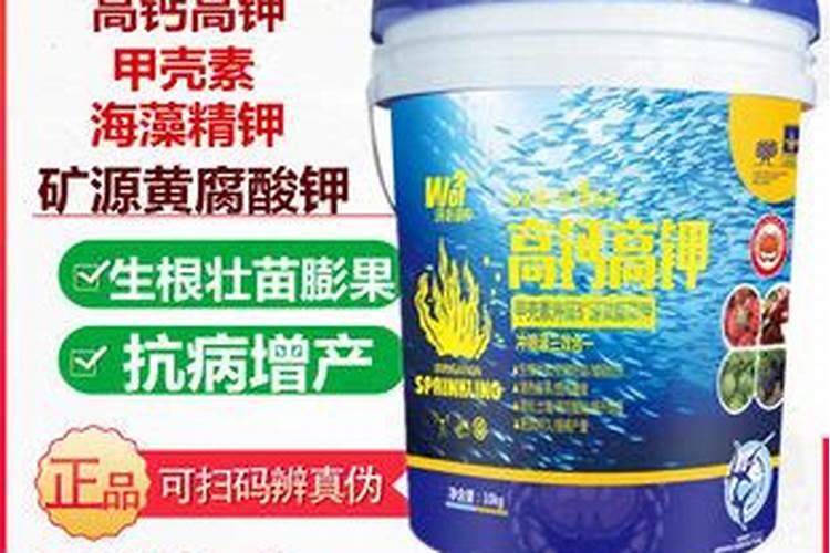 花生高产的小技巧有哪些？