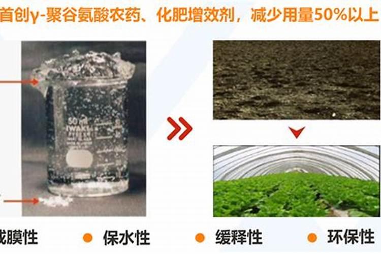 常见的氮肥有哪些,适合哪些植物