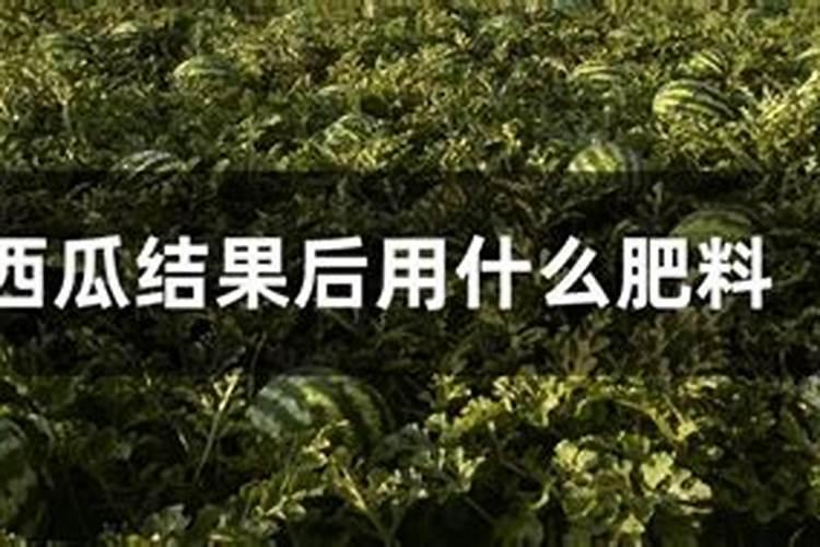 平衡施肥的施肥意义