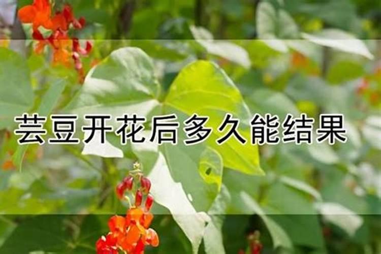 平衡水溶肥配方