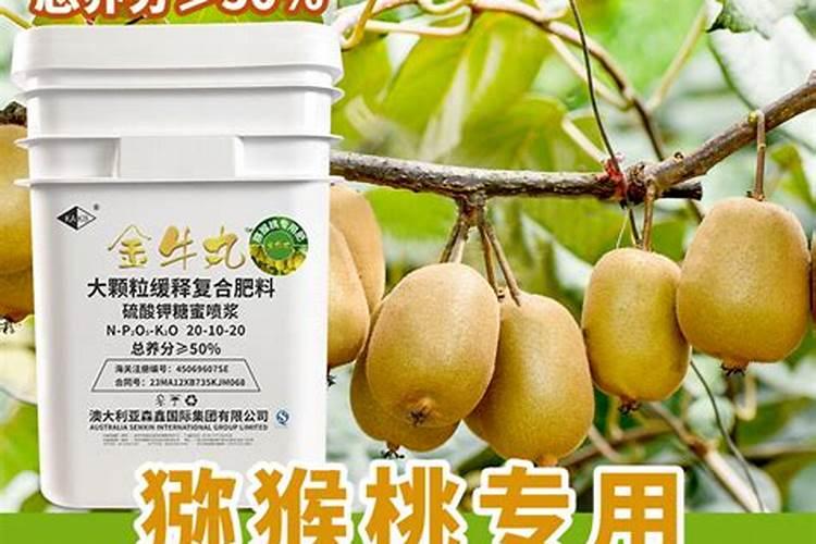 请问老师猕猴桃叶子这样是缺什么还是怎么了？