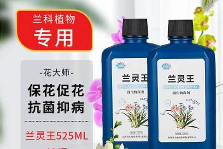 兰花施什么肥合适