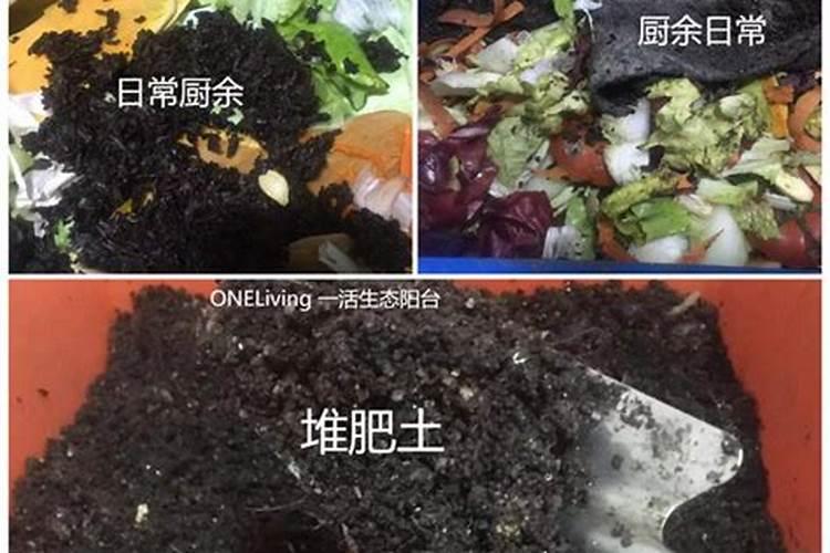 花盆种菜怎么施肥 花盆种菜如何施肥