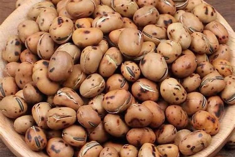 炒熟的黄豆能作为肥料放在米兰的土里吗？