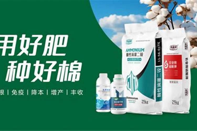新疆芳草湖发展的怎么样了？房价多少(住房和临街商品房)