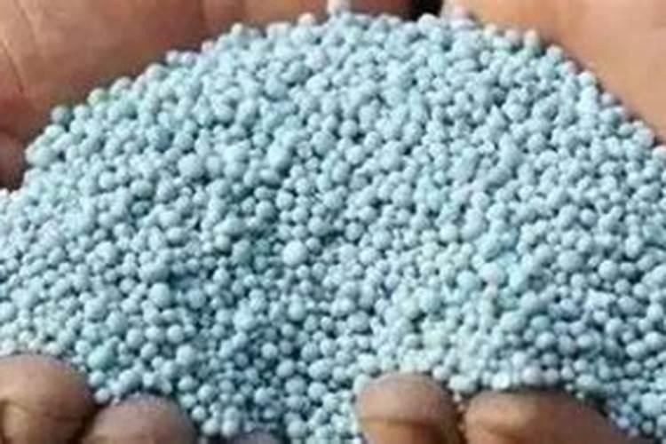 磷肥可以兑水浇花吗 磷肥对花卉的作用是什么
