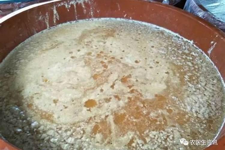 花生饼肥如何发酵腐熟