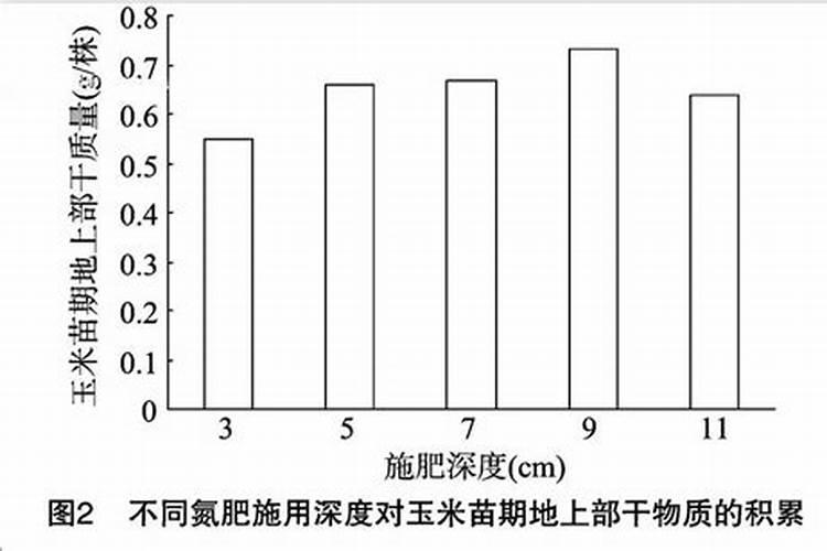 玉米用什么化肥好