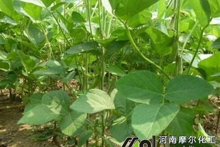 硝酸钾、磷酸二氢钾、硫酸钾、硝酸、尿素+能否混合吗