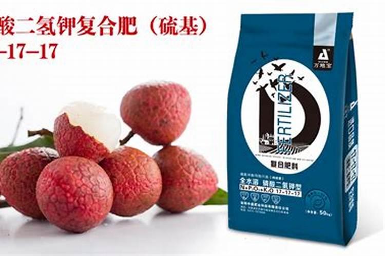 荔枝壮果期用什么肥比较好
