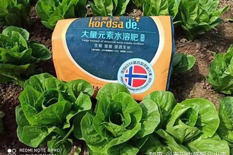 种香芋,一般施用一些什么肥料