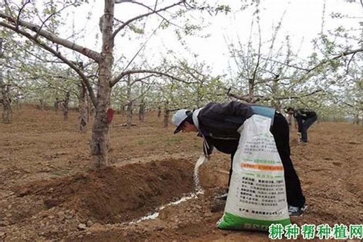 过磷酸钙的使用方法有哪些