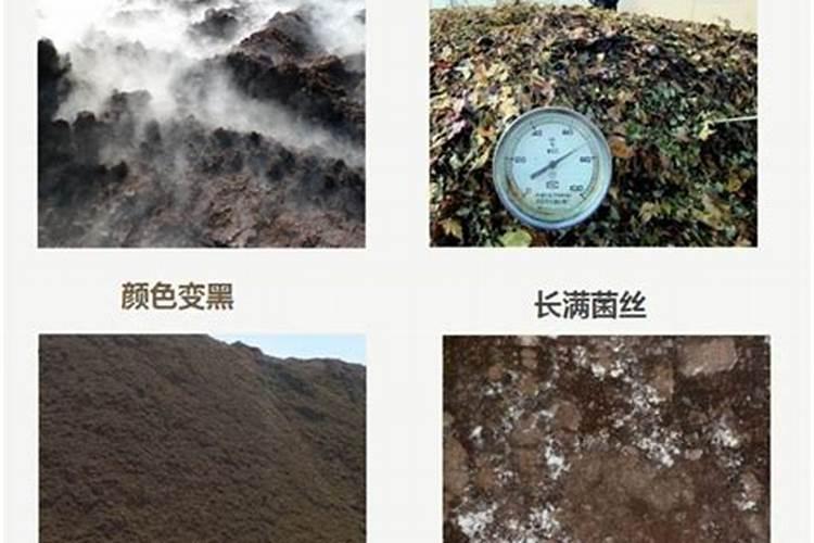绿色植物的三大肥料是什么？它们各有什么用途？
